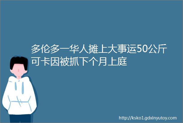 多伦多一华人摊上大事运50公斤可卡因被抓下个月上庭